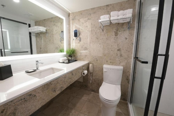 Sheraton Laval Hotel image 21